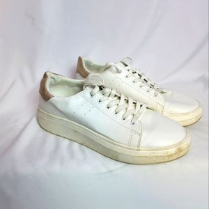 Fashion Sneaks